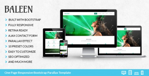 Baleen – Bootstrap One Page Parallax Template