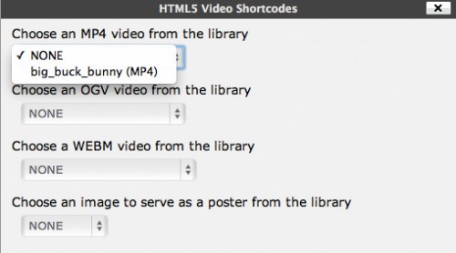 HTML5 Videos