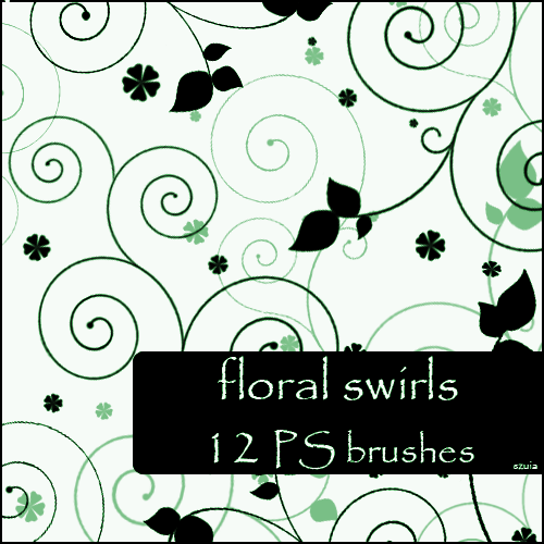 12 Amazing Floral Swirls Brushes