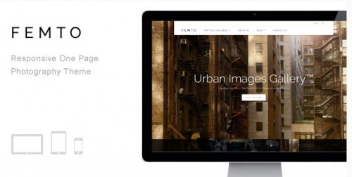 Femto - Responsive One Page Photography Theme