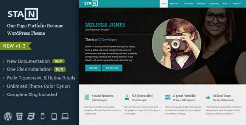 Stain - One Page Portfolio Resume WordPress Theme